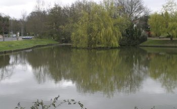 Un environnement protégé comme le lac Saint-Clair ici. Photo DDM, C.B.
