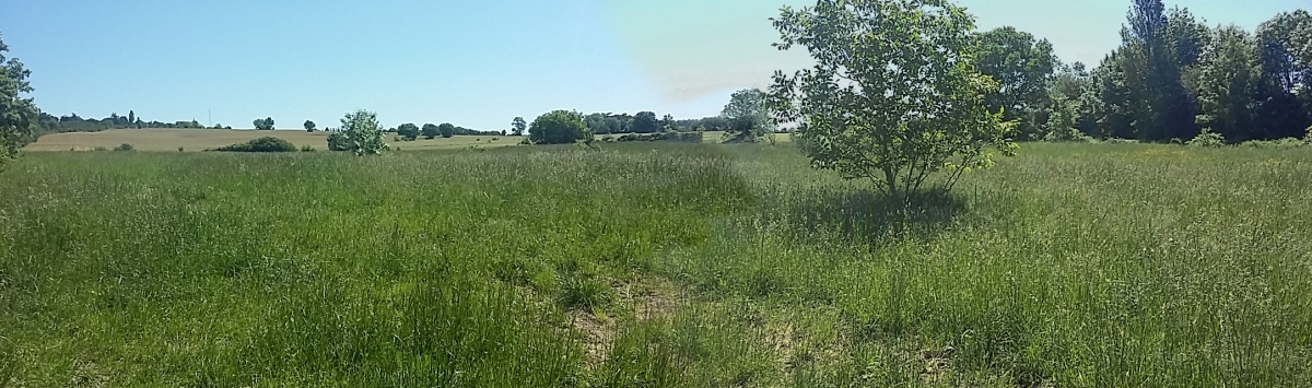 Vue panoramique de la zone du projet Gamasse-Rebeillou