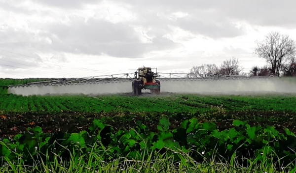 Agriculture conventionnelle à Balma (2020) Agriculture conventionnelle à Balma (2020)