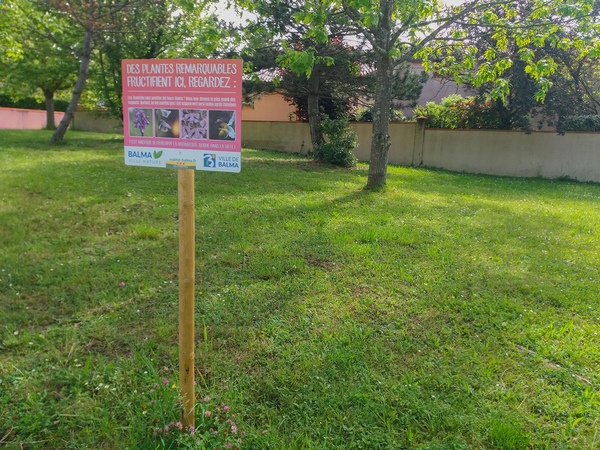 Rue Santos-Dumont, avril 2020. Ni le confinement ni le panneau bien en évidence n'ont protégé les herbes hautes.