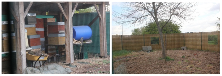 Désormais, le rucher est désert une partie de l'année. Ici en avril 2019.