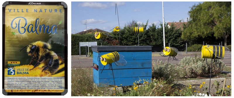 Apis virtualis balmanica : une nouvelle espèce d'abeilles à Balma